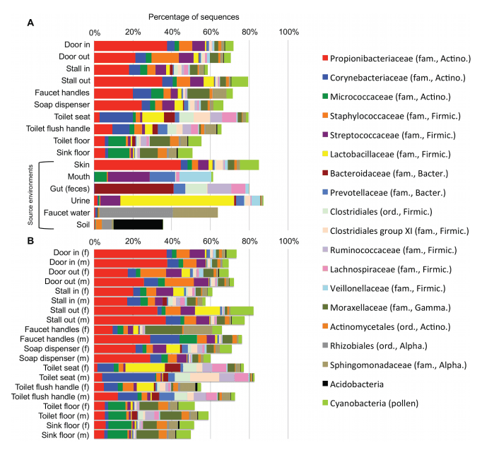 Graphical data representation of microbial composition bar charts created by Shiny application - Phyloseq