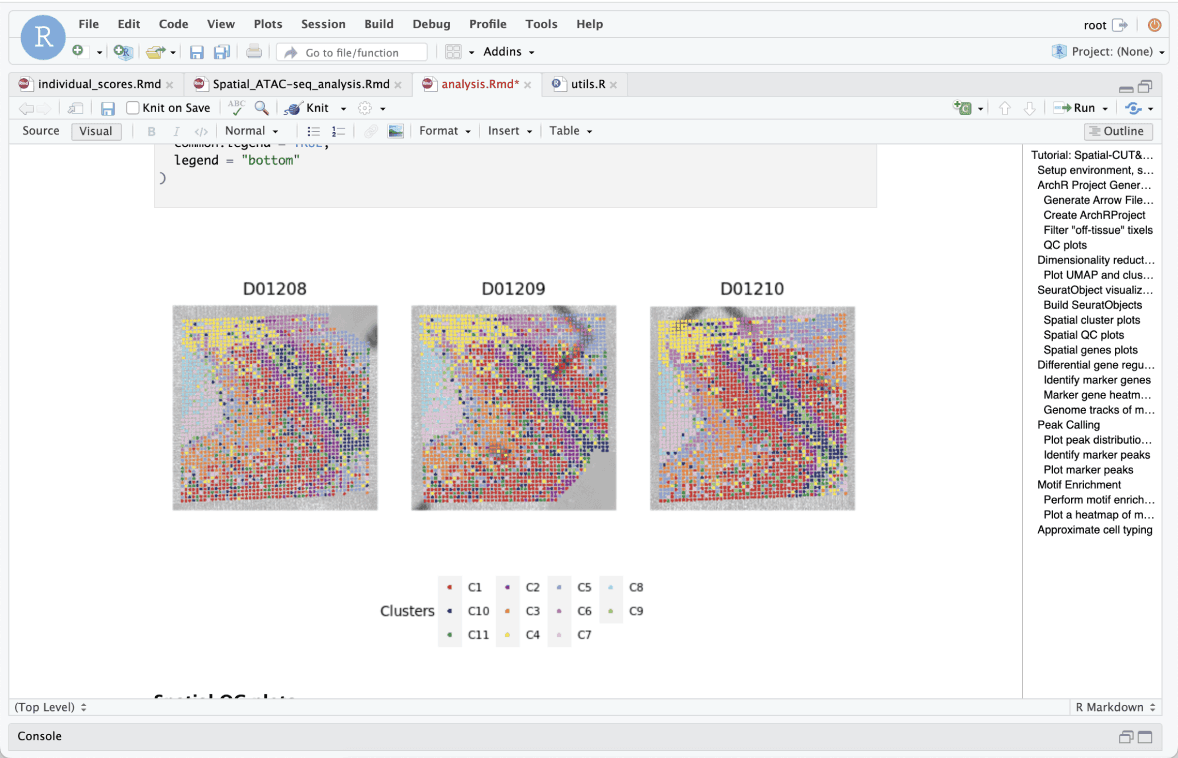 R programming interface displaying clustered spatial data plots for multiple datasets in a coding environment