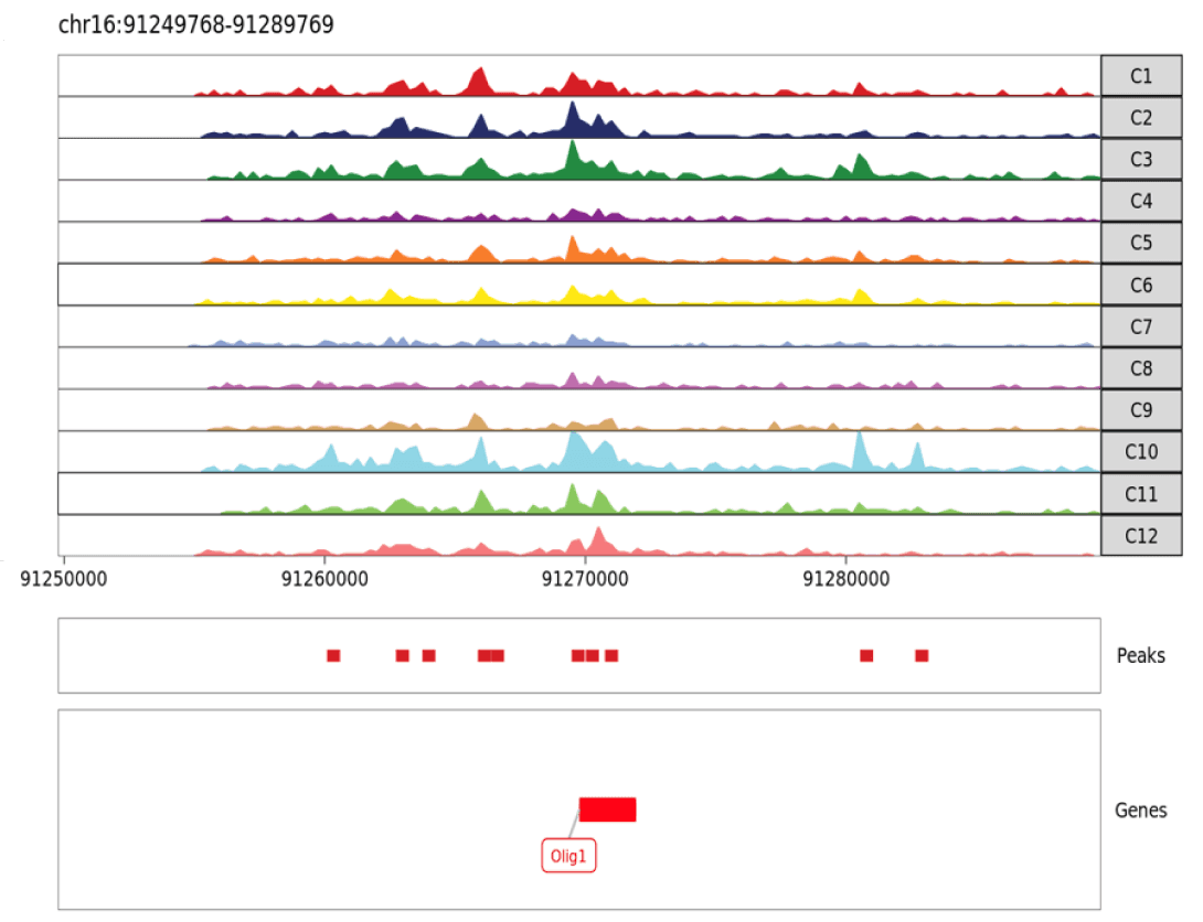 Genome browser track visualizing potential regulatory elements around Olig1 gene, a marker for oligodendrocytes. In spatial ATAC-seq, peaks represent open chromatin. In spatial CUT&Tag, peaks represent genome regions with a specific histone modification