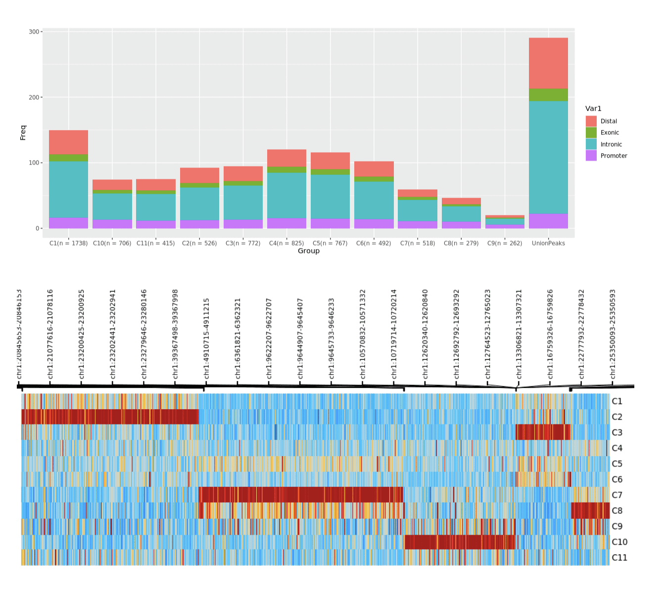 Two images: the top showing the distribution of regulatory elements by distal, promoter, intronic and exonic regions in each cluster. While bottom image is showing differential regulatory elements associated with each cluster.