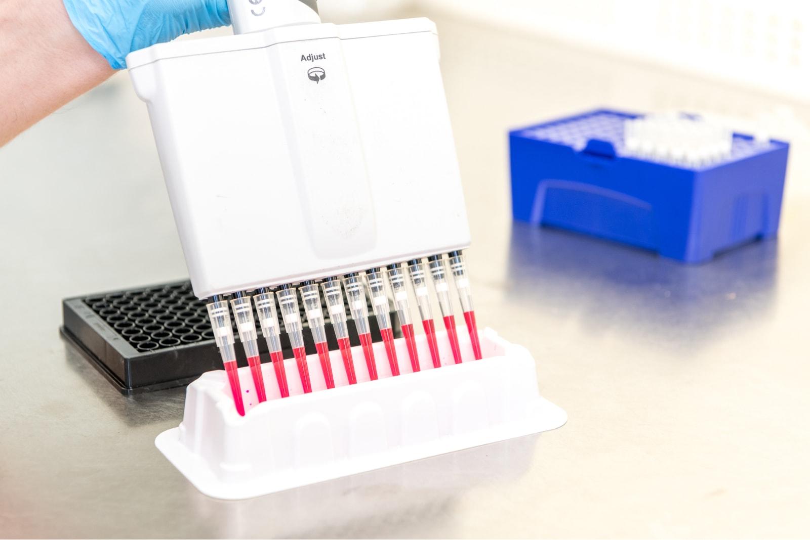 A hand holding a bulk pipette with a pink liquid