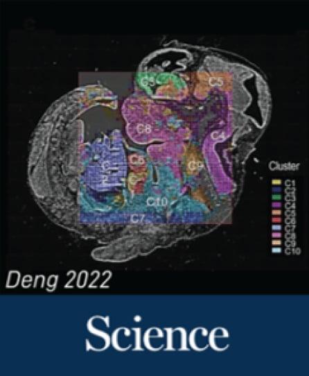 spatial omics featured in science magazine