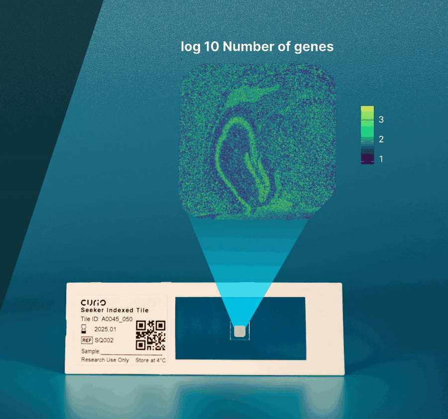 Spacial omics data visualisation analysis that can be used to identify cell types and spatial patterns in tissue sections through the use of spatial transcriptomics and spatial proteomics