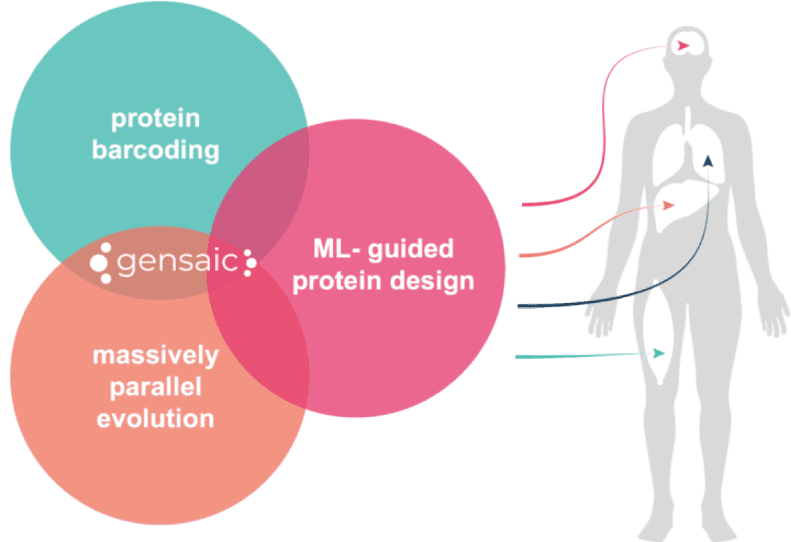 a diagram showing a ven diagram of protein barcoding, ML- guided protein design, massivelv parallel evolution with Gensaic in the middle