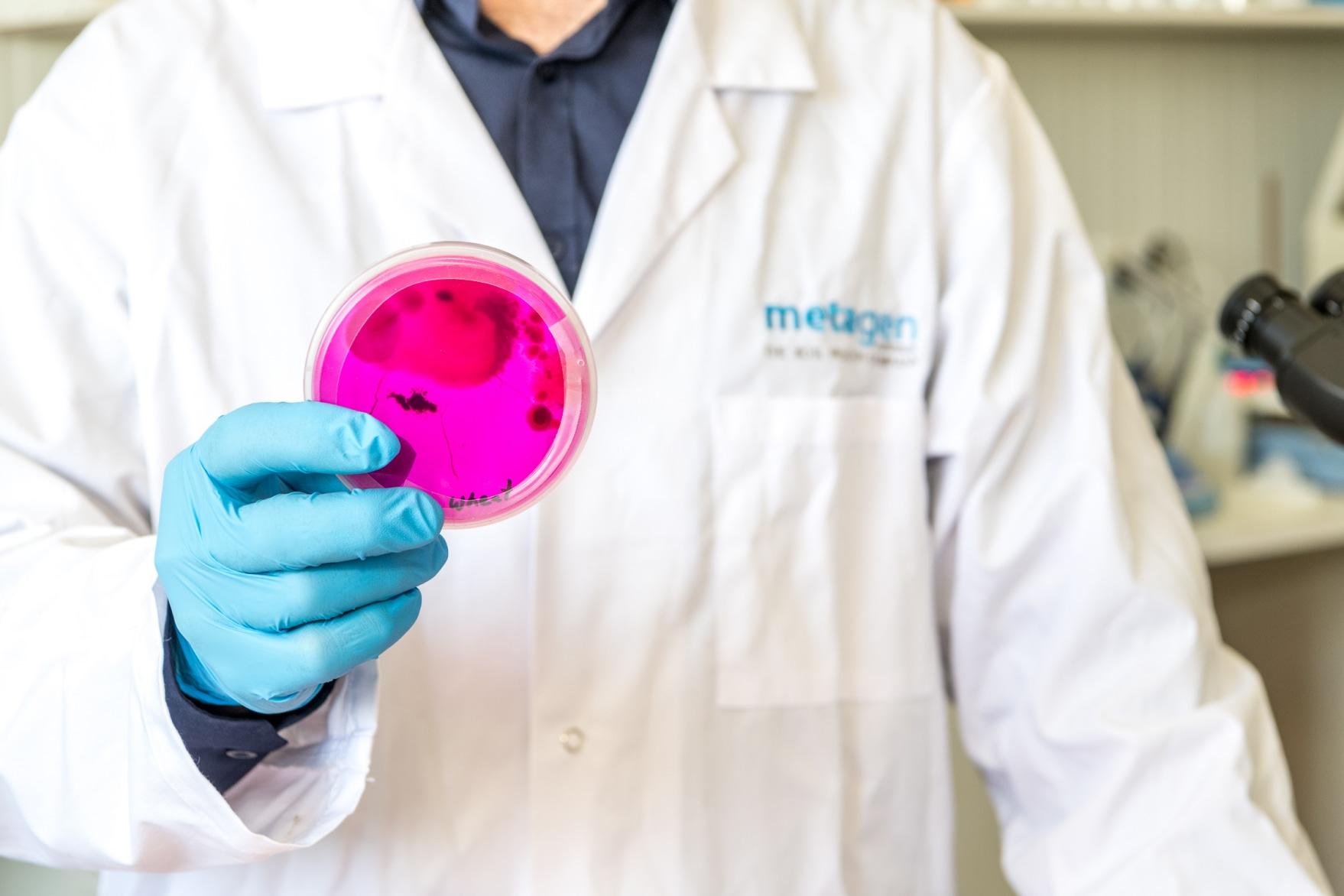 A hand holding a petri dish with pink gel