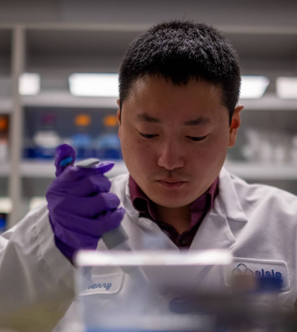 a scientist at work in an Elsie Laboratory