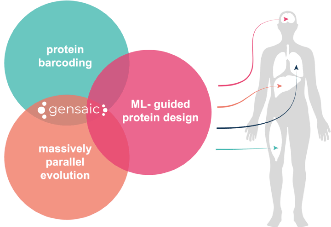 a diagram showing a ven diagram of protein barcoding, ML- guided protein design, massivelv parallel evolution with Gensaic in the middle