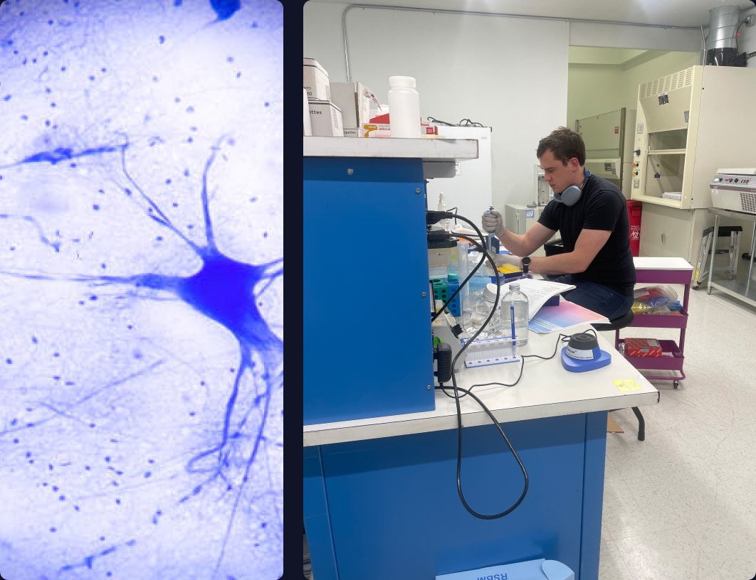 two images, one of a neuron and the other of a scientist working in the lab